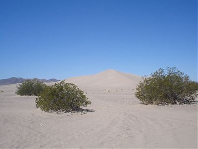 Armagosa Valley Sand Dunes