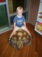 Quinan sitting on a turtle at Springs Preserve